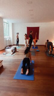 In un mondo in cui lo yoga viene sempre più "mostrato", in cui sui social si vedono sempre di più le prodezze dei praticanti, sulla nostra rete social avete visto sempre meno di tali condivisioni ed oggi vi diciamo perché. 

Ad Ashtanga Yoga Italia cerchiamo di vivere ciò che predichiamo (con tutte le nostre possibili lacune e imperfezioni) e visto che chiediamo a voi praticanti di lasciare i telefoni negli spogliatoi, ci sembra il minimo fare lo stesso.

Posizionare un cavalletto ed un telefono per riprendersi nella pratica in un contesto collettivo (per noi vale anche in un contesto privato, ma qui ci limitiamo a parlare della shala), cambia il tipo di attenzione del praticante: c'è uno spostamento dall'interno all'esterno, dall'ascolto e osservazione di sé alla performance e all'apparire al meglio. 
E questo sia se è il praticante stesso a riprendersi sia se è un soggetto esterno a farlo. 

Certo, è o può essere di interesse della scuola mostrarsi costantemente, far vedere quanto le proprie lezioni siano partecipate, creare una certa immagine e comunicare "capacità", ma ci chiediamo: quanto tutto questo invade il momento che il praticante sta vivendo e lo spirito che sta cercando di coltivare? E se non è così, quanto lo invitiamo a mostrarsi e performare?

La stragrande maggioranza delle immagini che  utilizziamo sono riprese in solo una o due lezioni annuali in cui avvisiamo i partecipanti preventivamente così che possano decidere se esserci o meno... o, come in questo video ripreso durante la lezione di pausa pranzo, spendiamo solo pochi secondi in shala, una ripresa unica, con una motivazione, da lontano e cercando di essere più discreti possibile. 

Una piccola eccezione per gli eventi, in cui ci possono essere più riprese che condividiamo come ricordo, ma anche qui stiamo migliorando e ci impegniamo a farne sempre meno.

❤

PS: l'utilizzo del 🎥 è volutamente provocatorio 😘

#AshtangaYogaItalia #yogaforeveryone #mysorestyle #pausapranzo