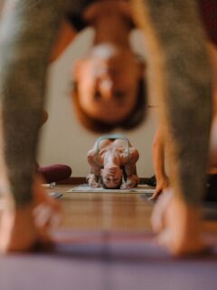 “Ignoranza in questo contesto (ndt: nello yoga) non significa che non conosci la scienza nucleare. Ignoranza in questo contesto significa che non conosci una beata fava sulla natura della tua vita. Stai cercando di vivere qui senza esplorare una beata fava della natura della tua vita. Sei occupato con i tuoi pensieri e le tue emozioni, con le tue piccole sciocchezze che crei intorno a te stesso. Stai vivendo nel tuo proprio Universo. Devi capire che non esiste una cosa come il TUO Universo. Il tuo Universo è un’illusione” - Sadhguru

Tutti noi esseri umani siamo bravissimi a torturare noi stessi. Come? Permettendo che i nostri pensieri e le nostre emozioni diventino un Universo, ovvero che diventino la nostra realtà. Tendiamo a credere tutto ciò che pensiamo, tendiamo a stagnare in tutto ciò che sentiamo. Osservarci dall’esterno è un’arte che facciamo fatica ad apprendere.

Ma se guardiamo alle cose su grande scala, non siamo che un piccolo essere nel macro universo e la nostra presenza è ben poco rilevante se non irrilevante. Quanti esseri umani sono venuti su questa terra e se ne sono andati? Il mondo continua a girare, la vita continua a scorrere. Imparare a relativizzare é una competenza imprenscindibile per vivere bene… e non credere a tutto ciò che pensiamo o sentiamo, ma sapere che siamo qualcosa di più della nostra mente, è il lavoro che lo yoga ci propone.

Come? Il modo più facile é cominciare ad osservare il nostro corpo attraverso la pratica degli asana (delle posizioni) e cominciare a notare ciò che esso ci mostra quotidianamente. Allora impariamo che il corpo cambia giorno per giorno e anche nello stesso giorno, non possiamo prescindere dal notare che il corpo è in costante cambiamento.

Fatto questo, il passaggio successivo è quello di imparare ad osservare i pensieri e le emozioni che sorgono, osservarli e notare come cambiano, in colorazione, intensità e presa. Si, perché se non impariamo ad osservare le sfumature, i dettagli, le piccole differenze tutto ci sembrerà statico ma in effetti la mente e le emozioni cambiano continuamente così come il nostro corpo. E a quel punto possiamo anche decidere di non attaccarci e di lasciarli andare.

❤️