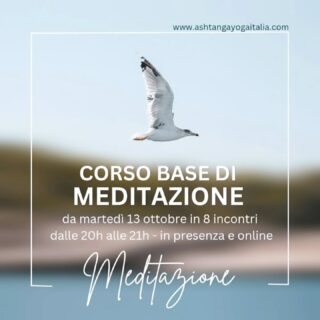 Uno degli scopi primari della pratica fisica dello yoga (yogasana, la pratica delle posture) é quello di preparare il corpo e la mente a stare seduto in meditazione perché è attraverso quest'ultima che veramente diamo un'accelerata importante al nostro processo di conoscenza del Sé.

Ed è per questo che ci teniamo ad ospitare eventi e corsi di meditazione ad integrazione della pratica fisica, perché chi desidera fare un passo più in profondità nello yoga possa avere la possibilità di farlo. 

Dopo la serata gratuita dedicata alla meditazione che si terrà martedì 6 ottobre, chi lo desidera potrà partecipare al CORSO BASE DI MEDITAZIONE con @fabio_petruzzi che si terrà per 8 settimane a partire dalla settimana successiva, martedì 13 ottobre, dalle 20h alle 21h, sia in presenza che in diretta online (via Zoom).

La frequenza è monosettimanale. Queste le date precise:

🔹️martedì 13 ottobre
🔹️martedì 20 ottobre
🔹️martedì 27 ottobre
🔹️martedì 3 novembre
🔹️martedì 10 novembre
🔹️martedì 17 novembre
🔹️martedì 24 novembre
🔹️martedì 1 dicembre

 L'orario è sempre alle 20h.

✦ CONTRIBUTO RICHIESTO:
EARLY BIRD a € 150 (con uno sconto già applicato di €30 rispetto alla quota consueta di € 180) per chi si iscrive entro sabato 3 ottobre. 

📧 Per info e iscrizioni scrivi direttamente a fabioyogadao@gmail.com 

Ti aspettiamo con gioia! ❤

Ashtanga 
Yoga
Italia
Milano
Meditazione

#AshtangaYogaItalia #yogaforeveryone #meditazione