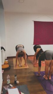 Complimenti a tutti i partecipanti all'edizione 2026/27 dell'AYI Assisting Academy che lo scorso weekend hanno iniziato il loro per-corso 🤗 Un fine settimana dedicato alle basi dell'Ashtanga Yoga, sia da un punto di vista filosofico che di pratica fisica. Grazie per la passione e l'interesse che avete dimostrato 🙏🏻 Le basi sono ottime!
Felici di avervi con noi ❤
#AshtangaYogaItalia #yogaforeveryone #AYIAssistingAcademy #assistantstobe #teacherstobe