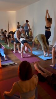 @davidandjelenayoga at @ashtangayogaitalia October 2026 🔥❤️🔥❤️🔥❤️
It took us a while to share a short summary of what was a very dense, amazing, intense long weekend under the guidance of @vesic_jelena and @davidrobsonyoga . That’s because we will need time to allow both a very high energy and tons of learning to settle within, and we will need space so that all the seeds these two beautiful teachers sowed can grow.
Thank you David and thank you Jelena for coming back at our Shala once again and thank you to all of you who made this possible with your presence: whether it was your first time joining us or you are a returning participant, it has been a true joy having you with us!
🙏🏻❤️🥰
⚠️ And save the dates for next year! October 29 to November 1 😘
With love ❤️
@rosatagliafierroyoga and the Ashtanga Yoga Italia team
#ashtangayogaitalia #yogaforeveryone #davidandjelenayoga #ashtangaintensive